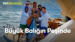 Büyük Balığın Peşinde | TRT Belgesel