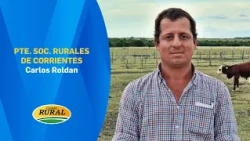 Carlos Roldan | President of the Rural Societies of Corrientes | 10/29/26 | MV