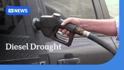 Farmers warn of diesel shortage impacts on agriculture industry | ABC NEWS