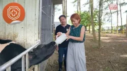 【講飲講食講健康II 】補鈣好幫手？預告