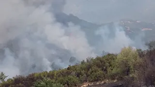 21 vatra zjarri, 11 në monitorim,3 aktive, ndërhyrja nga toka dhe ajri, 387 forca në terren