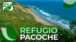 Ecuaterra | Mira la vida silvestre en el refugio Pacoche
