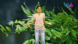 APRENDE ALGO NUEVO | Capítulo 47: “La fotosíntesis”