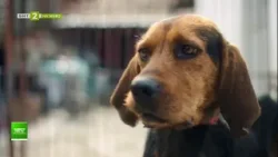 Елица Петкова и Веселка Кирякова за филма „Тихи наблюдатели“, "Нашето място България", 26.02.2026