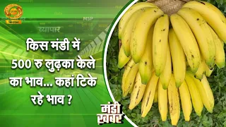 Mandi Khabar: In which market did the price of bananas drop by ₹500... where did prices remain st...