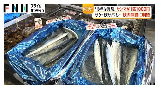 秋の味覚に“明暗”　不漁で高騰1匹1000円も…サンマ・サバが高級品に　一方でシャインマスカットと梨は豊作（2026年09月02日）