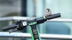 A motoros roller külön járműkategória lesz a KRESZ-ben, a nagyobbakhoz jogosítvány is kell majd
