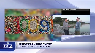 South Shore Park Native Plants