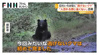 「何度見ても怖い」人を恐れず逃げないクマ　漁港で目撃されたクマは停泊の船から海中へ逃走（2026年09月22日）