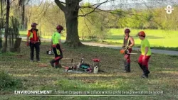 Lancement officiel de l'initiative « Forestiers Engagés » Lancement officiel de l'initiative « Forestiers Engagés »