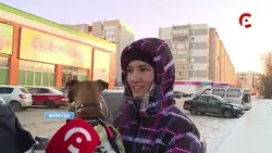 Время новостей 2025.12.24