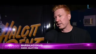 Marsalkó Dávid: Ott kezdődik egy dal élete, amikor kiadjuk | Zamat 2026 // Pezsgő