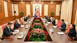 Wang Yi holds talks with Icelandic Foreign Minister