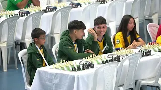 Medellín's Sports Schedule During the 2026 Flower Festival