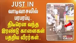 வாடிவாசலில் பரபரப்பு.. திடீரென வந்த இரண்டு காளைகள் - பதறிய வீரர்கள்..