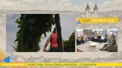 Szüret 2026: tradicionális borvidék - új kihívások - 2026.10.15.