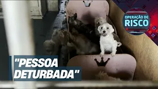 Veterinarian accused of animal abuse