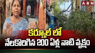 కర్నూల్ లో నేలకొరిగిన 200 ఏళ్ల నాటి వృక్షం | 200-Year-Old Tree Felled in Kurnool | ABN Telugu