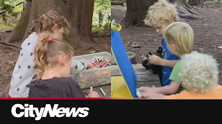 Langley outdoor school forced to close