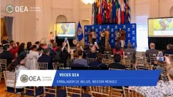Новости ОАГ: Голоса ОАГ: Посол Белиза Нестор Мендес. 31 марта 2026 г.