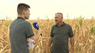 ZLATNA DOLINA 30.08.2026.