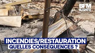 Gironde Wildfires/Hospitality: "A Catastrophic Drop in Revenue" (F. Chaumès)