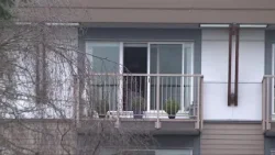 Tenants prepare to move following months-long bed bug infestation