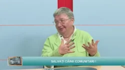 Analiza | Salvați câinii comunitari