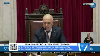 SENATE APPROVES "STURZENEGGER LAW"