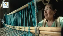 Micro de Turismo con Presutti Turismo