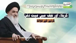 Karbala Aur Najaf Mein Mayyat Dafan Karne Ke Fawaed |  Ayatollah Al Uzma Shirazi Ke Bayanat