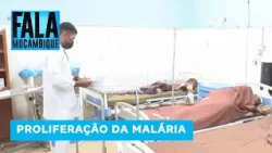Casos de Malária disparam na Província e Cidade de Maputo @Portal FM | Fala Moçambique