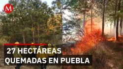 Combaten primer incendio forestal de 2026; consume 27 hectáreas en Nicolás Bravo, Puebla