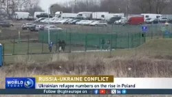 Ukrainians in Poland: 'The refugees are coming and coming and coming'