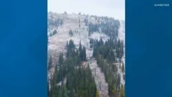 First mountain snow of the season!