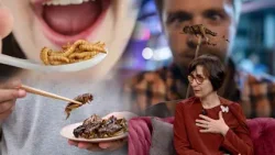 Po vjen dita të hamë insekte? Shkencëtarja: Ngrënia e tyre burim proteinash, ja ç’shije kanë