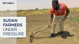 Sudan farmers squeezed by rising costs and Iran war