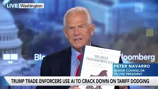 Navarro Says Countries Are Helping China Avoid Tariffs