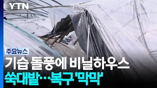 기습 돌풍에 비닐하우스 쑥대밭...복구 '막막' / YTN