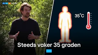 Nederland wordt heter: waarom 35+ graden écht gevaarlijk is | RTL Nieuws