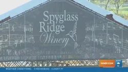 Spyglass Winery for sale in Northumberland County