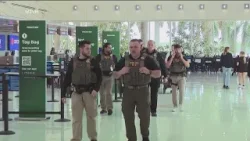 Законодатели штата Коннектикут настаивают на ограничении деятельности ICE (Иммиграционной и тамож...