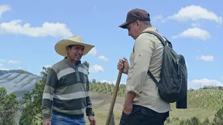 This is where the potatoes that reach thousands of Antioquian homes come from | The Countryside a...