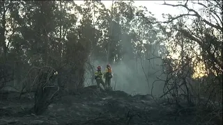 Quito: Forest fire alert in La Vicentina