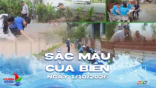 COLORS OF THE SEA | SENIOR CITIZENS LEAD THE WAY FOR A GREEN, CLEAN, AND BEAUTIFUL CITY