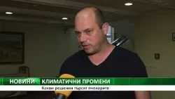 КЛИМАТИЧНИ ПРОМЕНИ: Какви решения търсят пчеларите