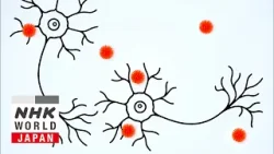 Новые способы замедления развития болезни Альцгеймера — Medical Frontiers