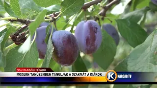 MODERN TANÜZEMBEN TANULJÁK A SZAKMÁT A DIÁKOK
