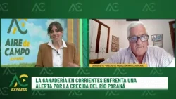 Inundaciones en Corrientes: Prevención y asistencias para minimizar pérdidas - Aire De Campo Express