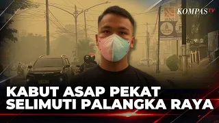 Thick Smog Blankets Palangka Raya, Visibility Reduced to Only 100 Meters | KOMPAS MALAM